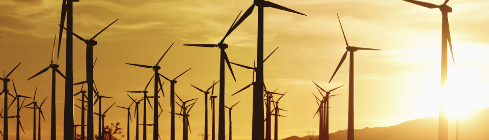 California Wind Power